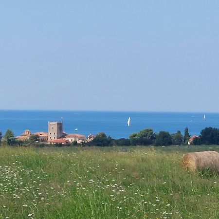 Apartments Henc Novigrad Istria Buitenkant foto