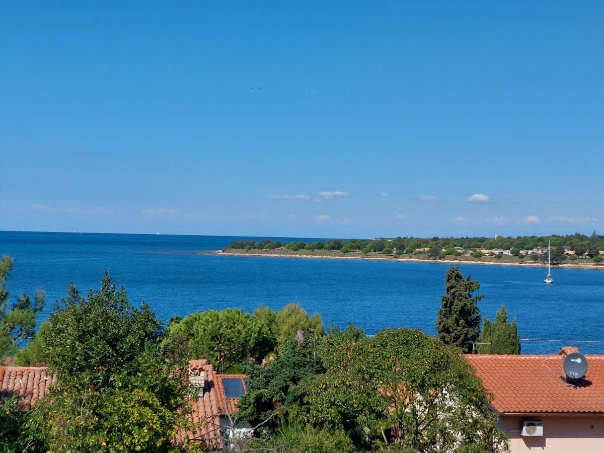 Apartments Henc Novigrad Istria Buitenkant foto