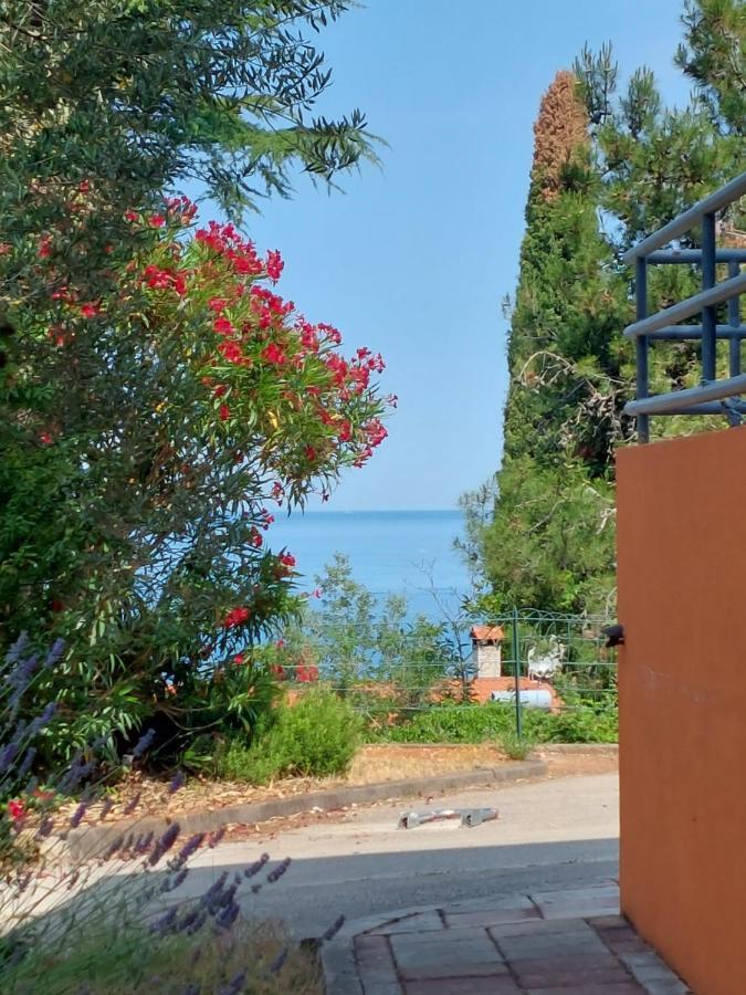 Apartments Henc Novigrad Istria Buitenkant foto