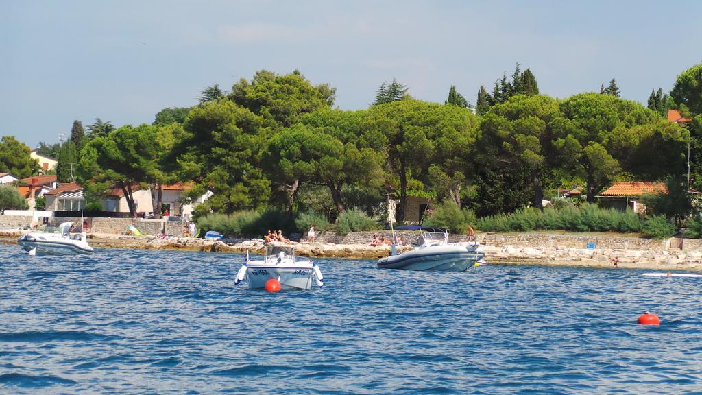 Apartments Henc Novigrad Istria Kamer foto