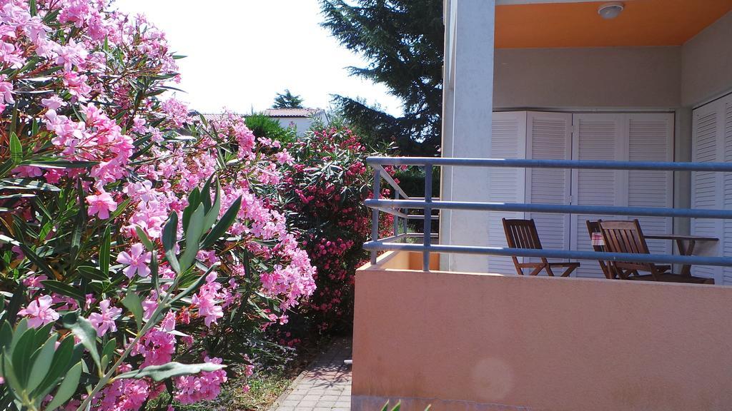 Apartments Henc Novigrad Istria Kamer foto