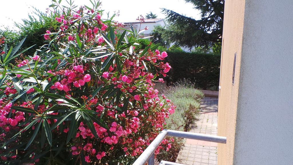 Apartments Henc Novigrad Istria Buitenkant foto