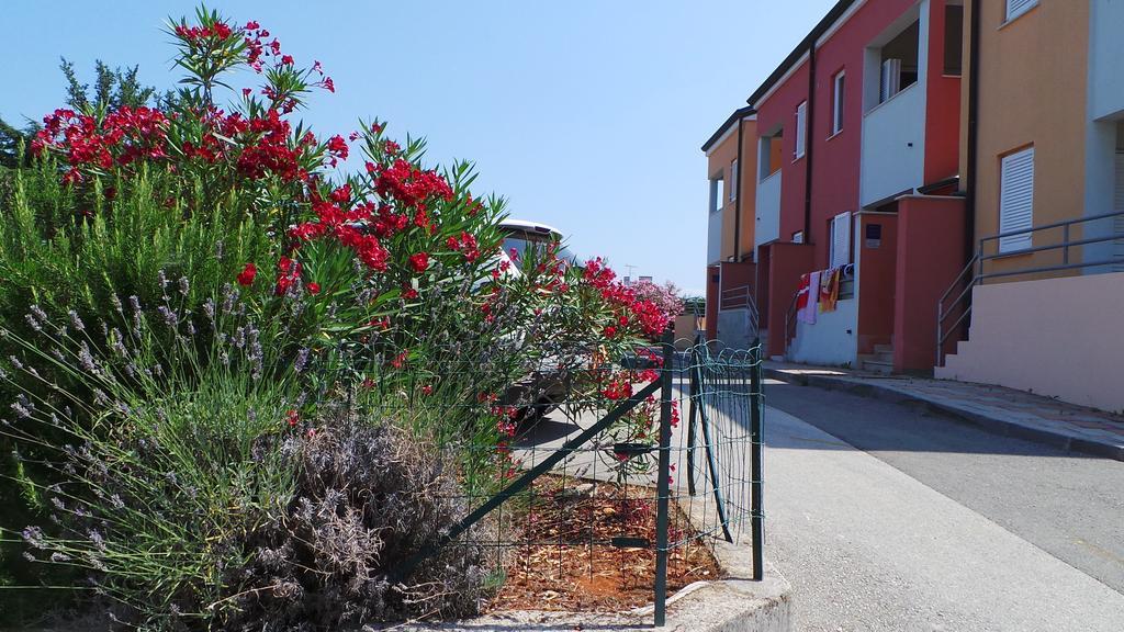 Apartments Henc Novigrad Istria Buitenkant foto
