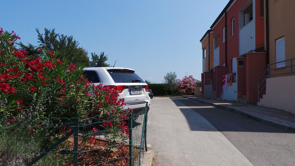 Apartments Henc Novigrad Istria Buitenkant foto
