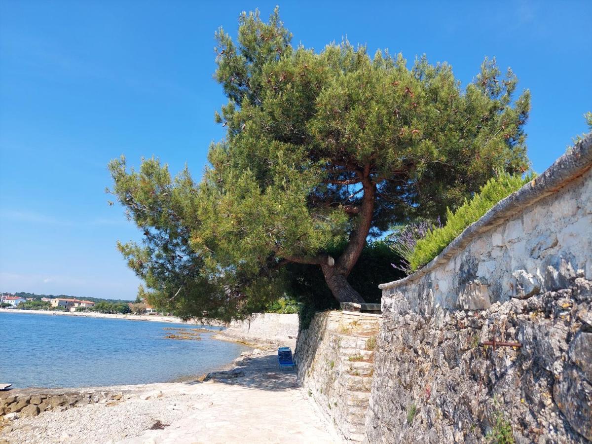 Apartments Henc Novigrad Istria Buitenkant foto