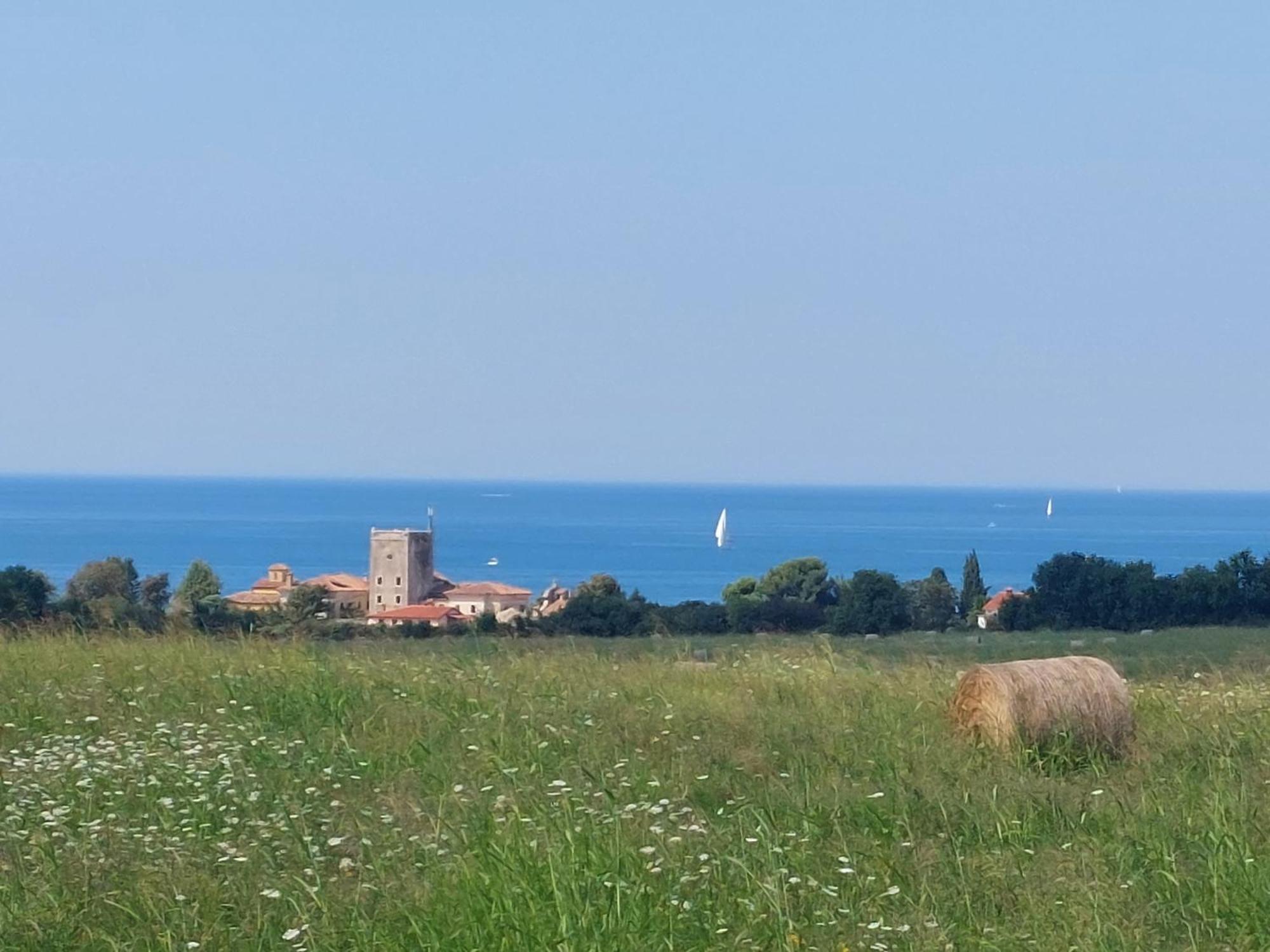 Apartments Henc Novigrad Istria Buitenkant foto