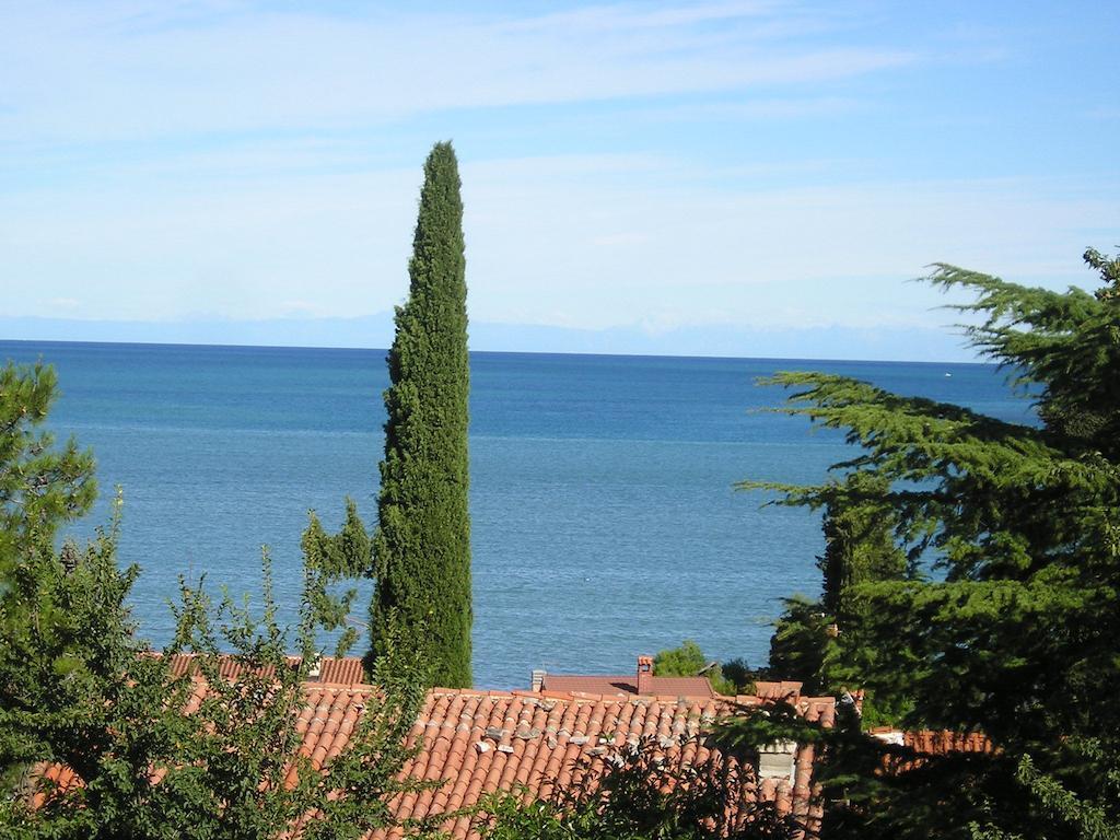 Apartments Henc Novigrad Istria Kamer foto
